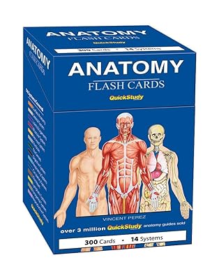 Anatomy Flash Cards:  QuickStudy Reference Tool Cards by Vincent Perez