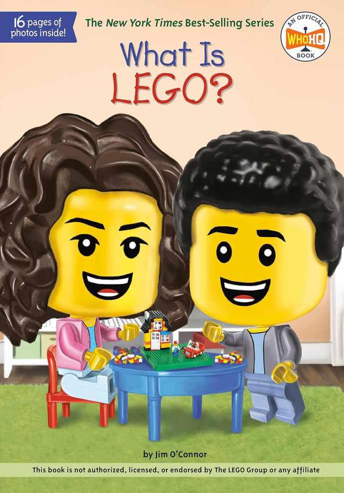 What Is LEGO? by Jim O'Connor