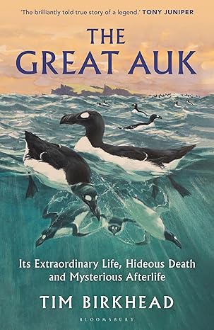 The Great Auk: Its Extraordinary Life, Hideous Death and Mysterious Afterlife by Tim Birkhead